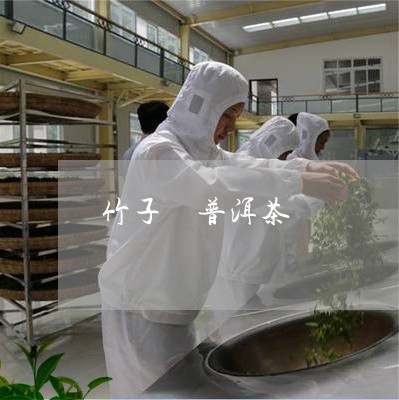 竹子 普洱茶/2023042917101